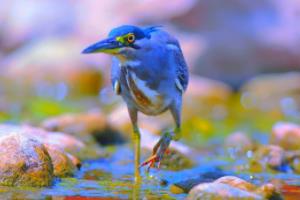 2023-2024赛季西甲联赛，再燃激情，再创辉煌西甲联赛新闻